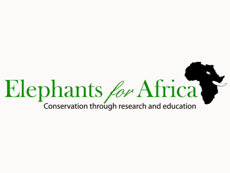 Elephants for Africa