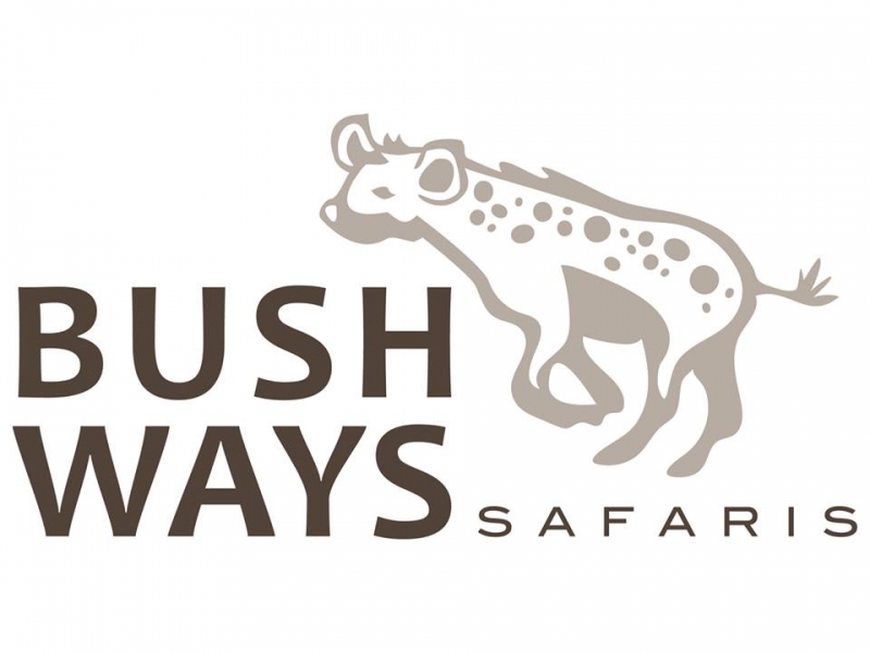 Bush Ways Safari