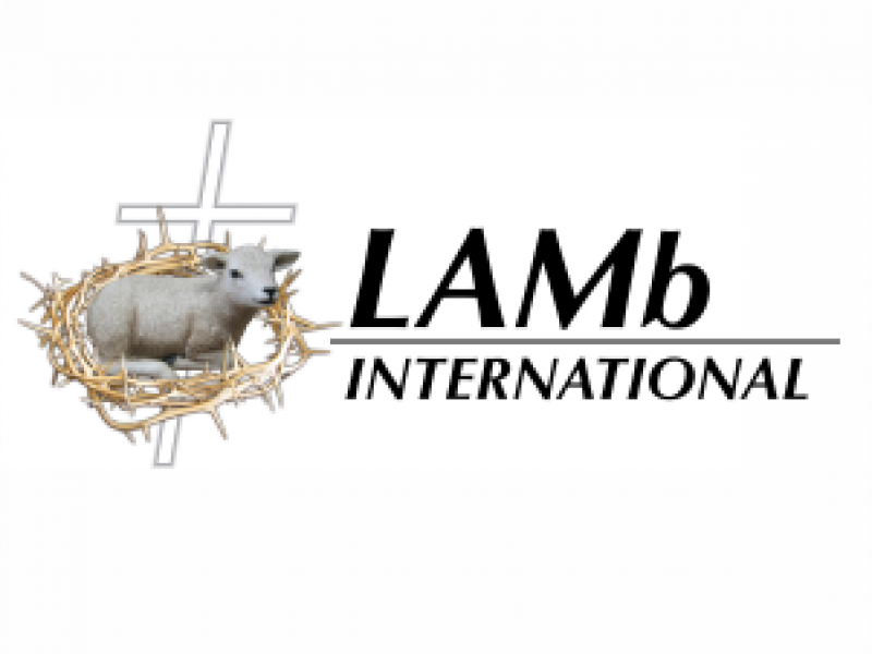 Lamb International